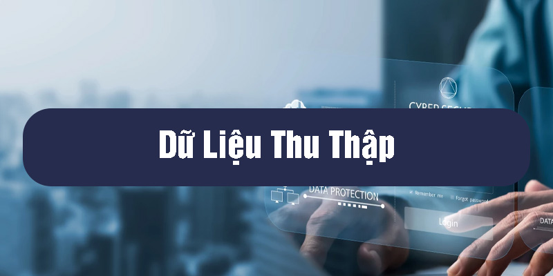 chính sách bảo mật tại spaceship two