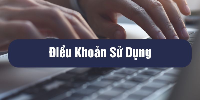 điều khoản sử dụng