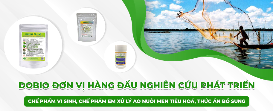Chi tiết về Công ty Dobio