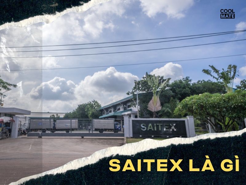 Công Ty Saitex - Tổng Quan