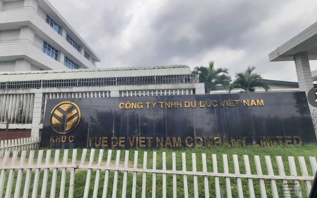 cong-ty-tnhh-du-duc-viet-nam