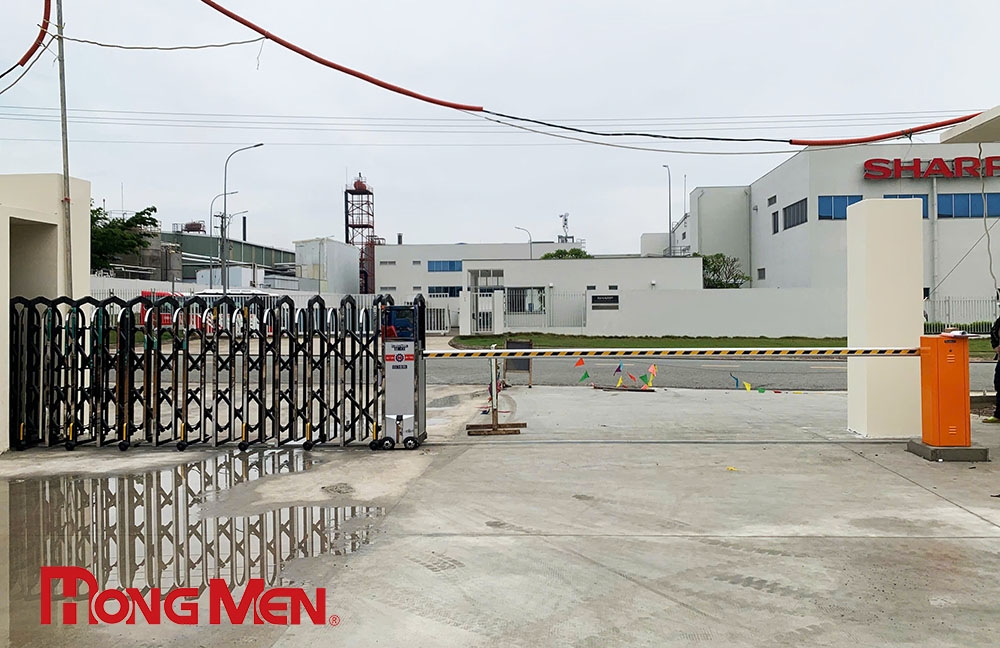 Công Ty TNHH Freeview Industrial (Việt Nam): Chi Tiết