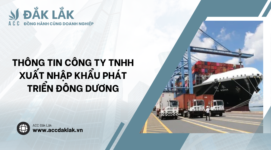 Công Ty TNHH Xuất Nhập Khẩu Phát Triển Đông Dương: Chi Tiết