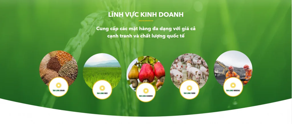 Thông tin chi tiết về Công ty Cổ phần tập đoàn Tân Long