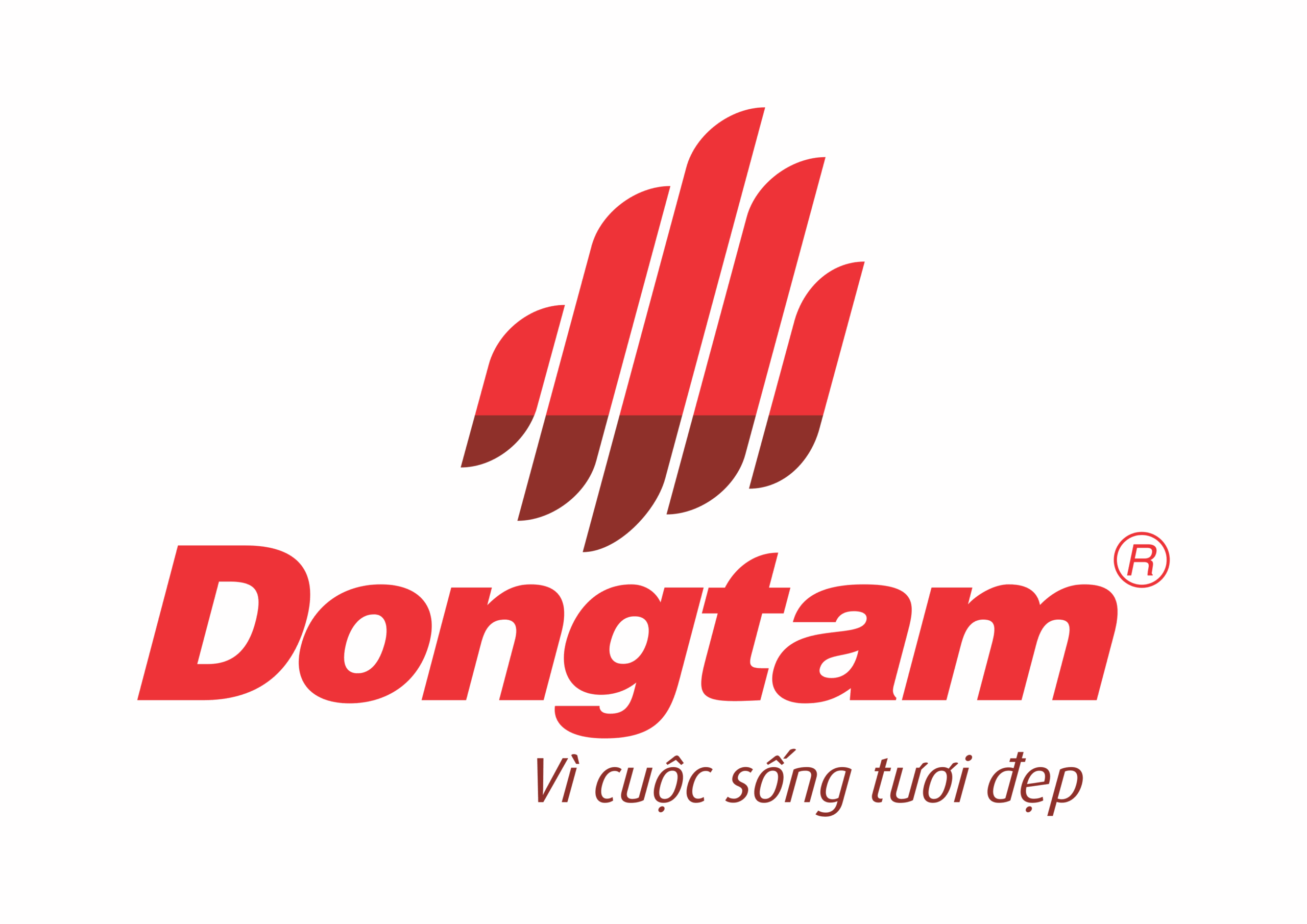 Tổng quan về công ty Đồng Tâm