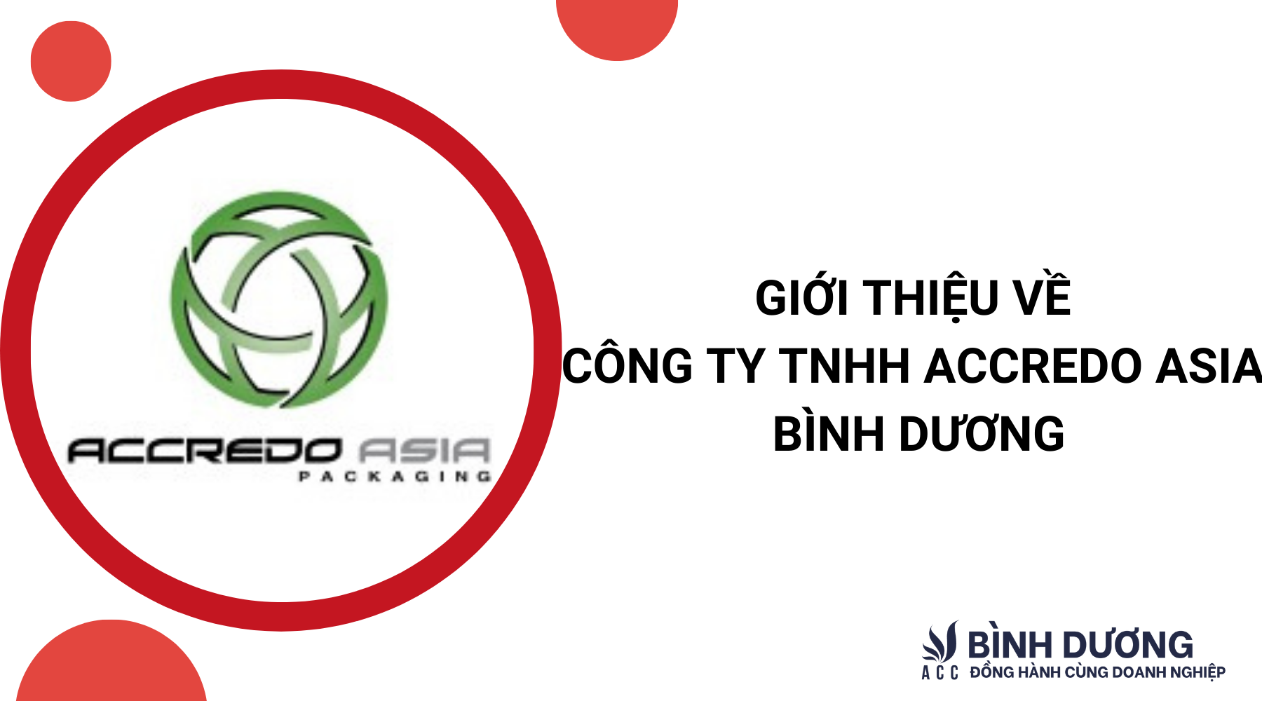 tong-quan-ve-cong-ty-tnhh-accredo-asia